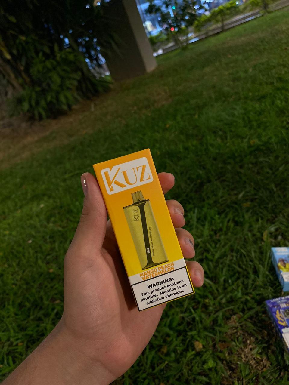 Vaporizador Kuz 9000 Puff – Mango Peach Watermelon